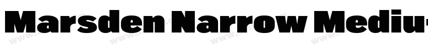 Marsden Narrow Mediu字体转换 Marsden Narrow Mediu字体转换